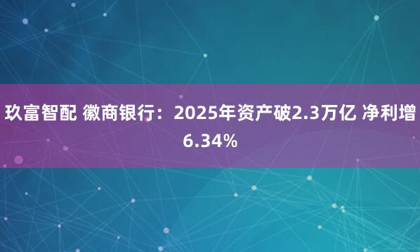 玖富智配 徽商银行：2025年资产破2.3万亿 净利增6.34%